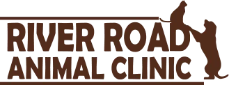 https://riverroadanimalclinic.com/wp-content/uploads/2020/03/river-road-logo.png